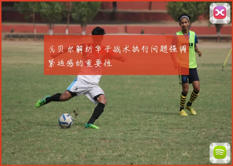 戈贝尔解析华子战术执行问题强调紧迫感的重要性