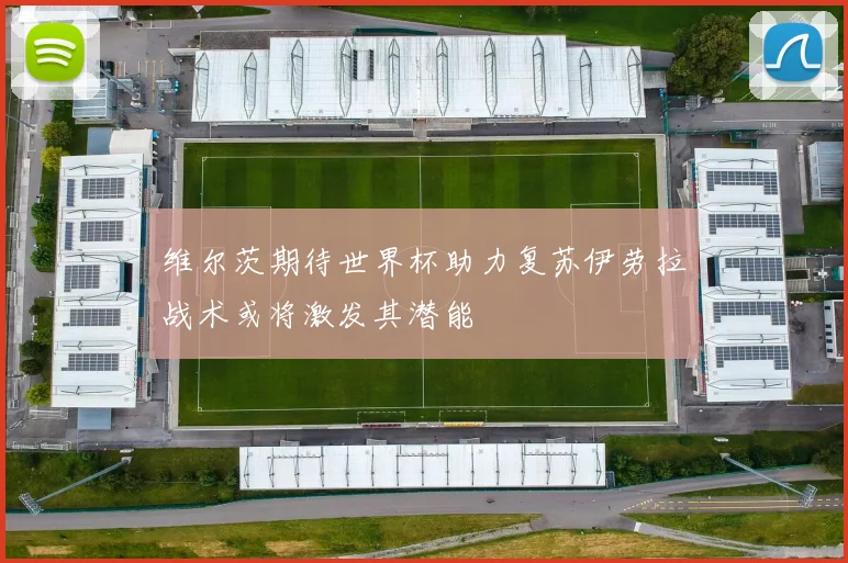 维尔茨期待世界杯助力复苏伊劳拉战术或将激发其潜能