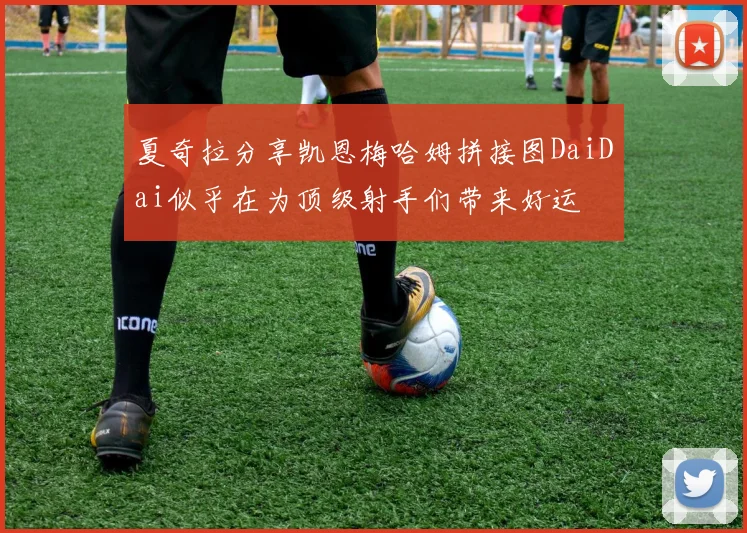 夏奇拉分享凯恩梅哈姆拼接图DaiDai似乎在为顶级射手们带来好运