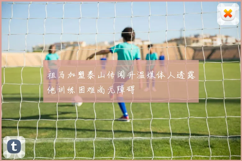 祖马加盟泰山传闻升温媒体人透露他训练困难尚无障碍
